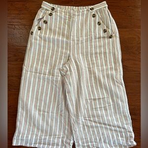 American Eagle lined crop pants. Sz L